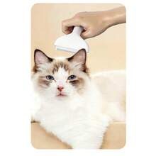 Cat Brush, Dog Brush For Grooming, Pet Detangling Brush, Fur Cleaning Tool, Won't Hurt Body Or Skin - Multicolor - View 2