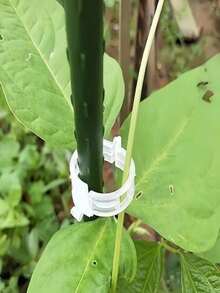 绿色塑料植物支撑架 | 半圆形室内攀爬架 | 耐用园艺支架,适用于藤蔓和枝叶植物 | 适用于盆栽植物和插花 | 易于组装,辅助攀爬植物生长 | 半圆形设计 | 塑料材质,攀爬植物支撑架 - 多色 - 查看 8