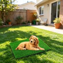 Inodoro de césped artificial realista para mascotas, caja de arena para entrenamiento de gatos/perros, para uso en interiores/exteriores, incluye almohadilla absorbente de orina, absorción de sonido y anti-salpicaduras, fácil de limpiar - M - Ver 2