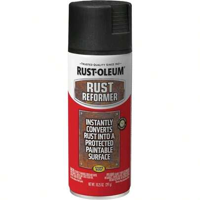 248658 Stops Reformer Spray Paint, 10.25 Oz, Matte Black