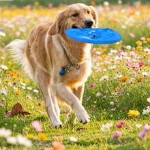 Disco volador interactivo para perros, disco volador dispensador de golosinas, disco volador para alimentar perros con agua - Azul - Ver 4