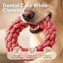 1 món đồ chơi gặm cho chó bền chắc - Đồ chơi tương tác hình trái tim giúp làm sạch răng, phù hợp cho chó nhỏ/trung bình. - Nhiều màu - Xem 3