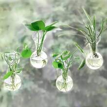迷你壁挂式植物繁殖花瓶,现代优质PET材质悬挂式花盆,圆形时尚花瓶,家居装饰佳品。完美适用于植物主题装饰、水培茎秆栽培、室内外装饰。 - 多款 - 查看 2