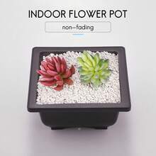 15 PCS 4.7 Inch Flower Pot, Square Plastic Bonsai Training Pot, Flower Flower Pot Container, For Garden, Interior, Home Decoration - Multicolor - View 3