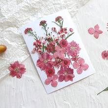 压花树脂模具，逼真的干花和叶子，适用于剪贴簿、DIY蜡烛配件、珠宝工艺等。所有各种压花干花均采用透明真空包装，以保护树脂花在运输过程中不受损坏；请注意，由于这些是人造植物，花朵的形状和颜色可能与图片略有不同。（已加工且无虫害）有时个别花材会缺货，我们会用相同尺寸或颜色的花材替代，恕不另行通知。 - DIY材料包 - 查看 31