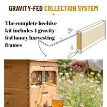 Automatic Beehive With 4 Gravity Flowing Hive Frames & Brood Box Set - Easy Honey Extraction Beekeeping Kit For Beginners And Professionals -  Solid Wood Construction - 預設 - 查看 4