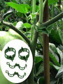 绿色塑料植物支撑架 | 半圆形室内攀爬架 | 耐用园艺支架,适用于藤蔓和枝叶植物 | 适用于盆栽植物和插花 | 易于组装,辅助攀爬植物生长 | 半圆形设计 | 塑料材质,攀爬植物支撑架 - 多色 - 查看 2