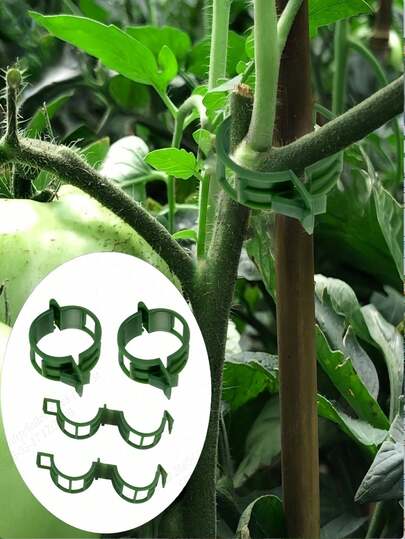 Green Plastic Plant Support Rack | Semi-Circular Indoor Climbing Frame | Durable Gardening Trellis For Vines And Foliage Management | Suitable For Potted Plants And Floral Arrangements | Easy Assembly, Climbing Plant Assistance | Semi-Circular Design | Plastic Material, Climbing Plant Support