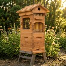 Automatic Beehive With 4 Gravity Flowing Hive Frames & Brood Box Set - Easy Honey Extraction Beekeeping Kit For Beginners And Professionals -  Solid Wood Construction - 預設 - 查看 1