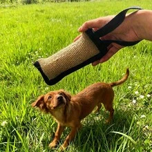 Gậy huấn luyện chó cắn, đồ chơi nhai cho thú cưng, dây thừng đơn, dây kéo cắn cho chó, chất liệu đay bền chắc. - màu đen - Xem 6