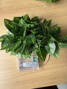 2/5/10米太阳能常春藤灯串，100颗LED人造藤蔓灯，仿真绿色植物叶片装饰灯，卧室藤蔓LED装饰灯，太阳能人造常春藤 - 逼真的丝绸般叶片和柔软的铜线材质，简约美学，绿色常春藤图案，温暖柔和的灯光，8种照明模式 - LED窗帘灯串，四季皆宜 - 綠蘿葉子 - 查看 9