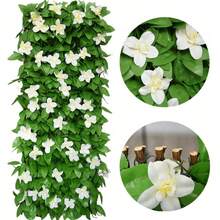 Hàng rào chắn riêng tư có thể mở rộng, thích hợp cho ban công, sân vườn, ngoài trời, hàng rào lưới nhân tạo, tấm hàng rào dây leo giả, thích hợp cho tường ngoài trời, vườn, trang trí sân sau nhà. - Hàng rào chắn - Xem 2