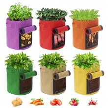 2 túi trồng khoai lang 10 gallon, xô trồng khoai tây bằng nỉ, túi trồng cây hình tròn dùng để ươm giống khoai tây, túi làm vườn rau, túi vải. - Túi trồng cây - Xem 3