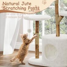 Cat Trees & Condos - A Tree Branch - View 5
