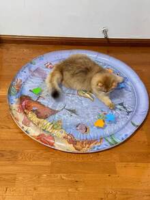 Alfombrilla de agua redonda/cuadrada para juego de gatos, cama de agua para mascotas, esterilla de enfriamiento de verano para gatos/perros, oasis de agua para juego de animales, esterilla de cama de agua, refrescante y cómoda - Multicolor - Ver 10