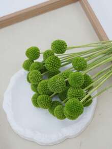 10/20pcs Stem Craspedia Artificial Flowers Yellow Billy Button Ball Bouquet Artificial Flowers Large Diameter Approx 1-1/2 Inch For Home Decor Photo Props DIY Wedding Decoration - Green 2 - View 3
