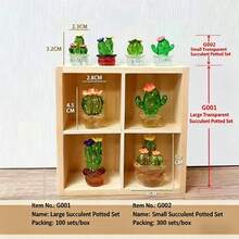 創意仙人掌植物車用裝飾品，透明樹脂工藝，電視與電腦裝飾小雕像，高品質禮品 - 套裝 - 查看 5
