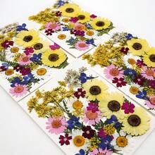 压花树脂模具，逼真的干花和叶子，适用于剪贴簿、DIY蜡烛配件、珠宝工艺等。所有各种压花干花均采用透明真空包装，以保护树脂花在运输过程中不受损坏；请注意，由于这些是人造植物，花朵的形状和颜色可能与图片略有不同。（已加工，无虫害风险）由于季节性因素，某些花材有时可能会缺货，我们将用相同尺寸或颜色的花材替代，恕不另行通知。 - 35pcs - 查看 4