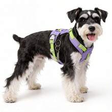 Non-Pulling Dog Harness Set, Front Clip Pet Vest With Handle, Breathable Mesh Design Won't Choke, A-Ring And Internal Pocket For ID Tag/GPS Tracker, Adjustable Pet Leash Set - Pink - View 3