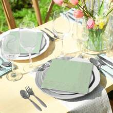 20pcs/40pcs/60pcs/Set Soft Square Jade Green Napkins, 2-Ply, 25cm*25cm Opened, Suitable For: Wedding, Tea Party, Birthday Party Decoration, Party Decoration, Party Supplies, Holiday Decoration, Holiday Supplies - Quantity - View 8