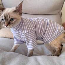 Striped Turtleneck Sweater For Cats, Comfortable & Stretchy Spring/Summer Pet Clothing For Sphynx & Devon Rex Hairless Cats - Mauve Purple - View 5