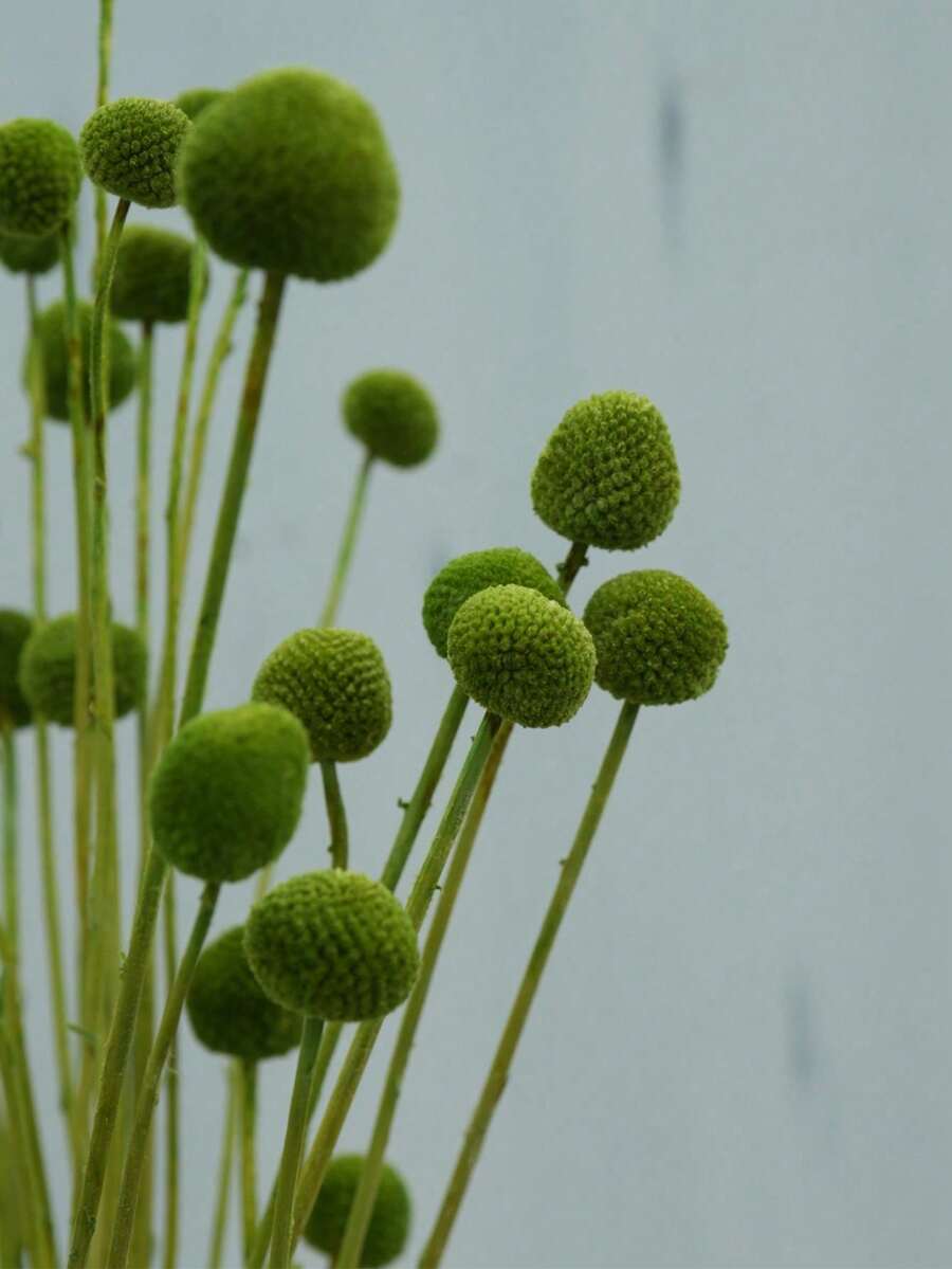 10/20支 莖部黃色比利球人造花球花束 大直徑約1.5英吋 用於居家裝飾、拍照道具、DIY婚禮佈置 - 綠色3 - 查看 1