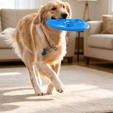 Disco volador interactivo para perros, disco volador dispensador de golosinas, disco volador para alimentar perros con agua - Azul - Ver 5