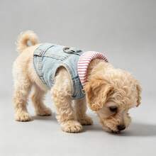 Dog Coat, Fashionable Soft Dog Clothes, Suitable For Small And Medium Dogs, All Seasons, Durable Puppy Coat, Pet Apparel - Red - View 4