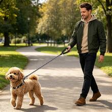 1pc Nylon Glow-In-The-Dark Dog Leash With Foam Handle, Multi-Size Pet Walking Lead, Suitable For Small, Medium And Large Dogs - Multicolor - View 5