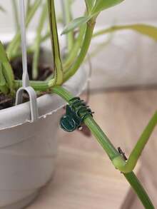 50pcs Plastic Plant Support Clips, Reusable Orchid Clips, Gardening Clips For Fixing Stems, Vines And Climbing Plants - Dark Green - View 4