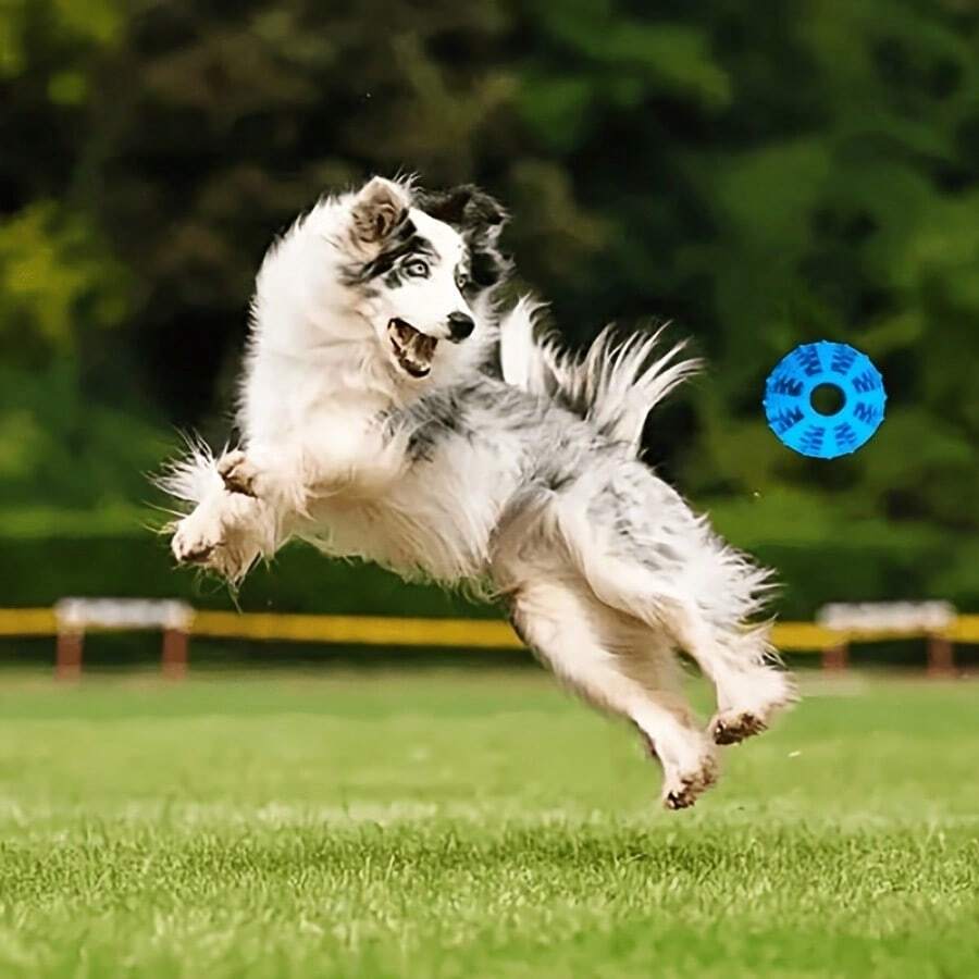 1 quả bóng mài bằng cao su cho chó, đồ chơi nhai chống mòn có thể làm sạch răng chó. Đây là đồ chơi nhai cho chó có thể đựng thức ăn. Đồ chơi màu hồng và nhiều màu sắc mang lại cho chó những trải nghiệm thú vị khác nhau. - Nhiều màu - Xem 1