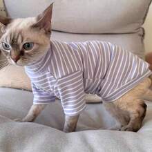 Striped Turtleneck Sweater For Cats, Comfortable & Stretchy Spring/Summer Pet Clothing For Sphynx & Devon Rex Hairless Cats - Mauve Purple - View 8