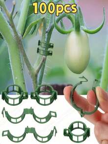 绿色塑料植物支撑架 | 半圆形室内攀爬架 | 耐用园艺支架,适用于藤蔓和枝叶植物 | 适用于盆栽植物和插花 | 易于组装,辅助攀爬植物生长 | 半圆形设计 | 塑料材质,攀爬植物支撑架 - 多色 - 查看 14