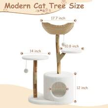 Cat Trees & Condos - A Tree Branch - View 2