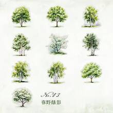 20张/包 PET白色墨水贴纸，自然树木系列，风景，花卉，树木，适用于剪贴簿、日记、装饰贴纸 - 春野綠影 - 查看 1