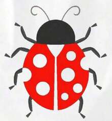 Women's Comfortable 100% Cotton T-Shirt With A Stylish Ladybug Print From Urban Sense. Mother's Day Gift MVH3. Suitable As A Gift. Women's T-Shirt. Blouses > Elegant. Boho Chic. Soft, Breathable, And Comfortable Women's Top, Ideal For Spring, Summer, And Fall, Perfect For Vacations, Travel, And Everyday Wear. - 白色 - 查看 2