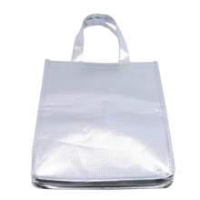 Bolsas de aluminio para almacenamiento de hielo, bolsa térmica aislada para comida de playa, cajas duraderas para exteriores, bolsa refrigeradora plegable, bolsa para almuerzo y picnic, 1 ud. - 8 pulgadas - Ver 5