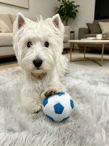 Juego de juguetes con chillido para perros - Balón de fútbol y rugby de peluche duradero, juguetes de rompecabezas interactivos para Schnauzer - Multicolor - Ver 4