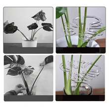 5pcs Turtle Shell Bamboo Plant Support Rods, Stem Gathering Racks, Anti-Lodging Plant Supports, Suitable For Indoor And Outdoor Plants, Unique And Attractive Plant Supports To Keep Stems And Roots Upright, Applicable For Climbing Plants. Outdoor And Garden Supplies. Plant Supports & Protection, Plant Cages And Racks. Convenient And Practical. - Multicolor - View 4