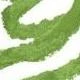 Gotcha Green