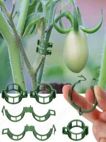 绿色塑料植物支撑架 | 半圆形室内攀爬架 | 耐用园艺支架,适用于藤蔓和枝叶植物 | 适用于盆栽植物和插花 | 易于组装,辅助攀爬植物生长 | 半圆形设计 | 塑料材质,攀爬植物支撑架 - 多色 - 查看 3
