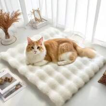 1件装宠物毛绒冬季加厚耐磨睡垫，适用于猫狗 - 彩色 - 查看 6