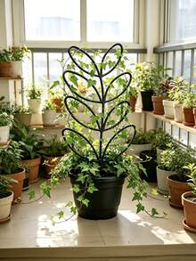 1个叶类植物攀爬训练器，盆栽藤蔓和花卉支架，节省室内外园艺空间 - A - 查看 4