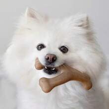 Benebone Wishbone Dog Chew Toy - Bacon - S - 棕色 - 查看 6