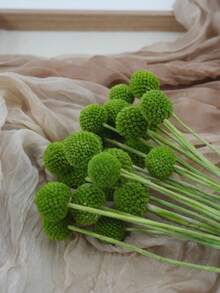 10/20pcs Stem Craspedia Artificial Flowers Yellow Billy Button Ball Bouquet Artificial Flowers Large Diameter Approx 1-1/2 Inch For Home Decor Photo Props DIY Wedding Decoration - Green 2 - View 4