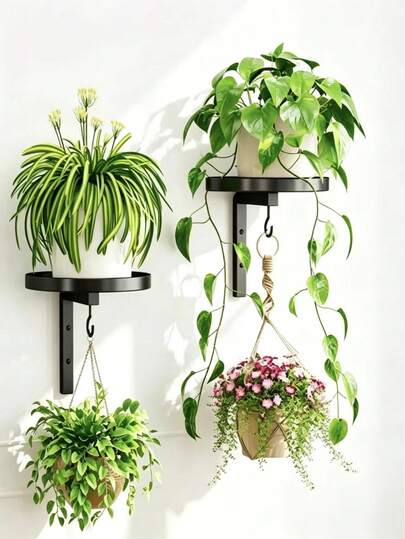 Giá treo tường để đựng cây và hoa, giá đỡ chậu hoa bằng sắt cho phòng khách, ban công, ngoài trời, thích hợp để trưng bày cây thường xuân, cây mọng nước và hoa trang trí.