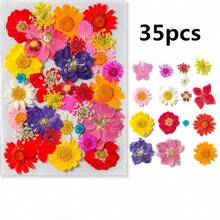 压花树脂模具，逼真的干花和叶子，适用于剪贴簿、DIY蜡烛配件、珠宝工艺等。所有各种压花干花均采用透明真空包装，以保护树脂花在运输过程中不受损坏；请注意，由于这些是人造植物，花朵的形状和颜色可能与图片略有不同。（已加工，无虫害风险）由于季节性因素，某些花材有时可能会缺货，我们将用相同尺寸或颜色的花材替代，恕不另行通知。 - 35pcs - 查看 23
