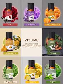 YITUMU 4/6/8入精油套組，適用於車用擴香器與加濕器，水溶性芳香療法香氛禮盒，持久放鬆車內與居家臥室空氣清新劑 - 10ml / 0.34 fl.oz per bottle - 查看 12