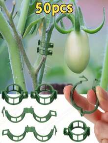 绿色塑料植物支撑架 | 半圆形室内攀爬架 | 耐用园艺支架,适用于藤蔓和枝叶植物 | 适用于盆栽植物和插花 | 易于组装,辅助攀爬植物生长 | 半圆形设计 | 塑料材质,攀爬植物支撑架 - 多色 - 查看 13