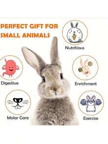 Happy Pet Rabbit Toys/Rabbit/Guinea Pig Toys, Rabbit Chew Toys, Multi-Piece Rabbit Toys, Handmade Chew Toys Suitable For Guinea Pigs, Hamsters, Small Rodents, Birthday Gifts, Holiday Gifts 14pcs/7pcs/3pcs Set - View 11